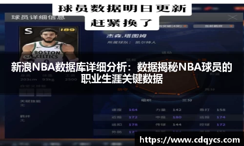 新浪NBA数据库详细分析：数据揭秘NBA球员的职业生涯关键数据